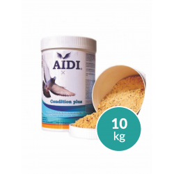 AIDI CONDITION PLUS...